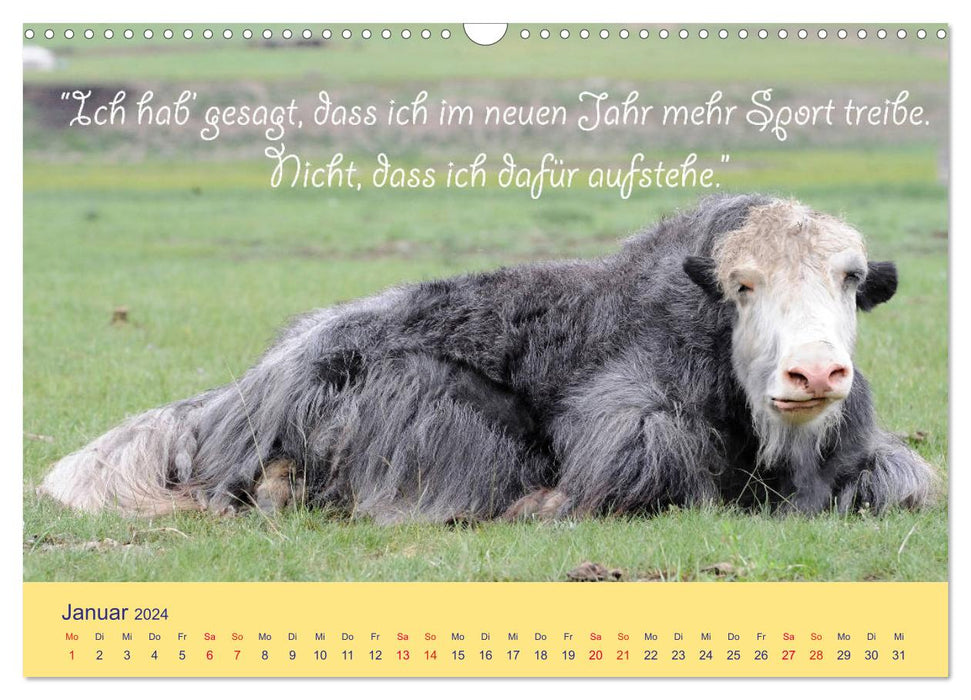 Sind Tiere die weiseren Menschen? Tierisch witzige Sprüche (CALVENDO Wandkalender 2024)