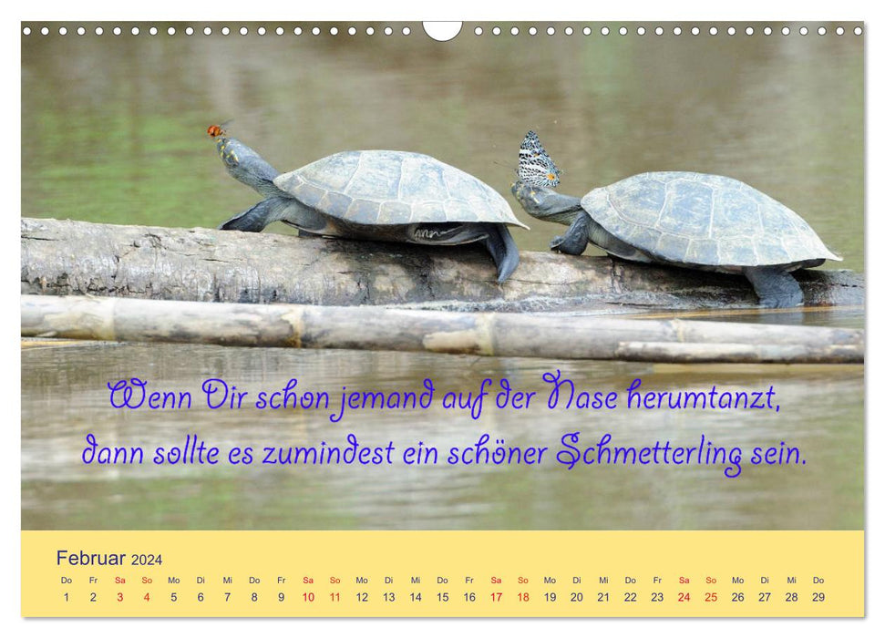 Les animaux sont-ils des gens plus sages ? Dictons d'animaux amusants (calendrier mural CALVENDO 2024) 