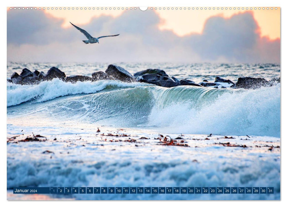 Helgoland - Das Leben auf der Düne Helgolands (CALVENDO Wandkalender 2024)