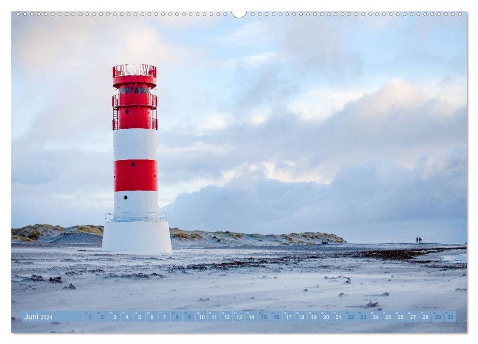 Helgoland - Das Leben auf der Düne Helgolands (CALVENDO Wandkalender 2024)