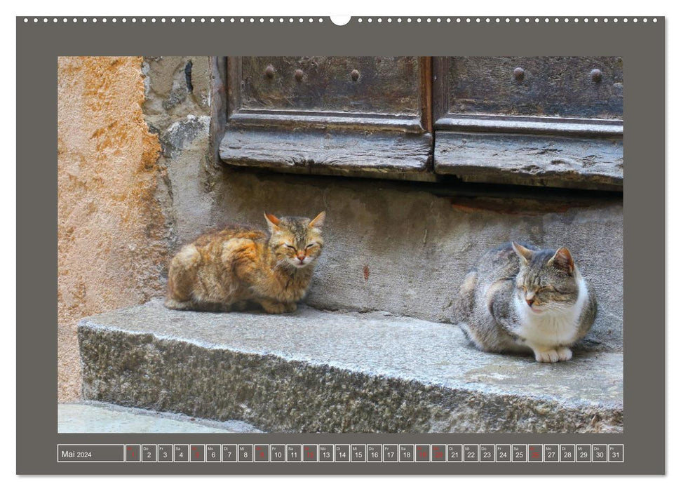 Traveling quietly (CALVENDO wall calendar 2024) 