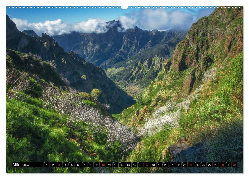 MADEIRA - RAW BEAUTY IN THE ATLANTIC (CALVENDO Premium Wall Calendar 2024) 