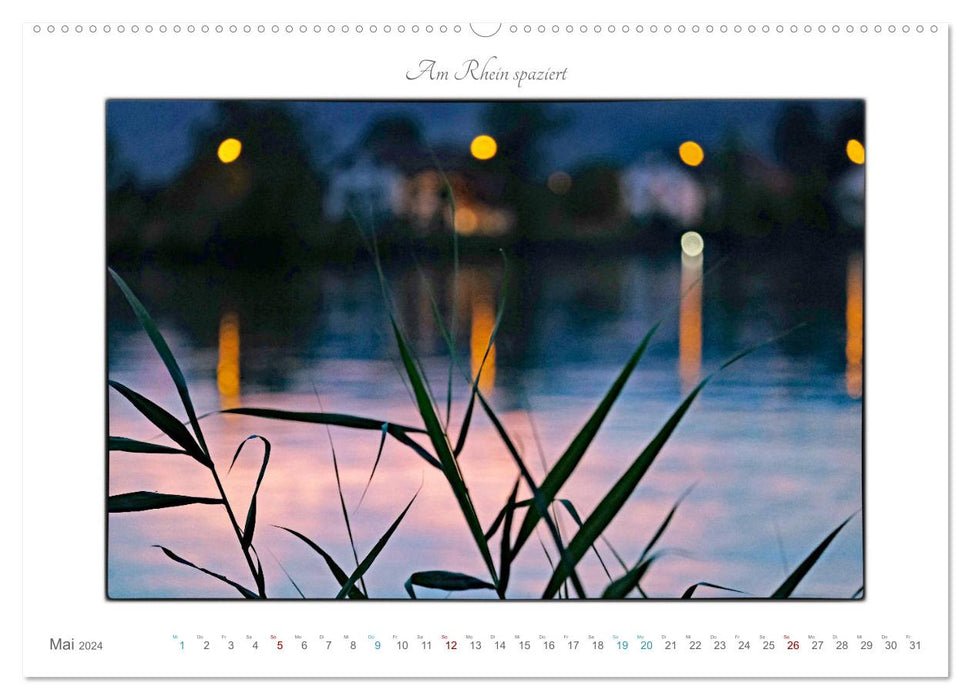 Walking on the Rhine (CALVENDO Premium Wall Calendar 2024) 