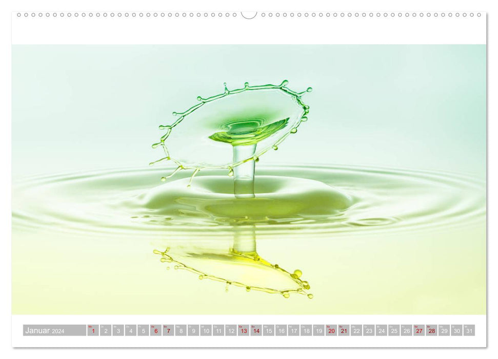 TaT's - drop on drop (CALVENDO wall calendar 2024) 