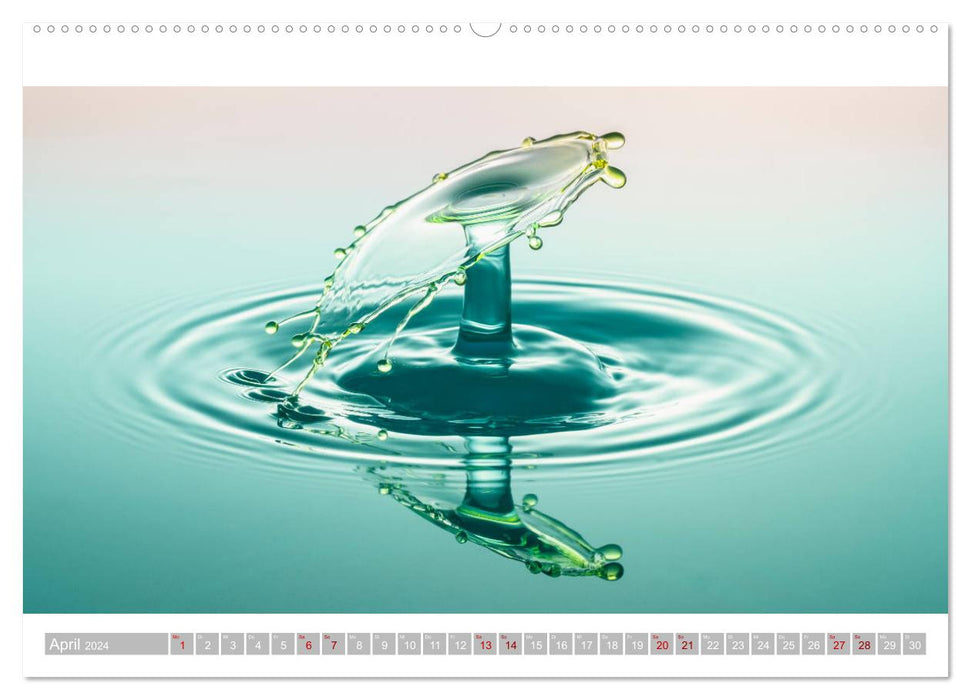 TaT's - drop on drop (CALVENDO wall calendar 2024) 