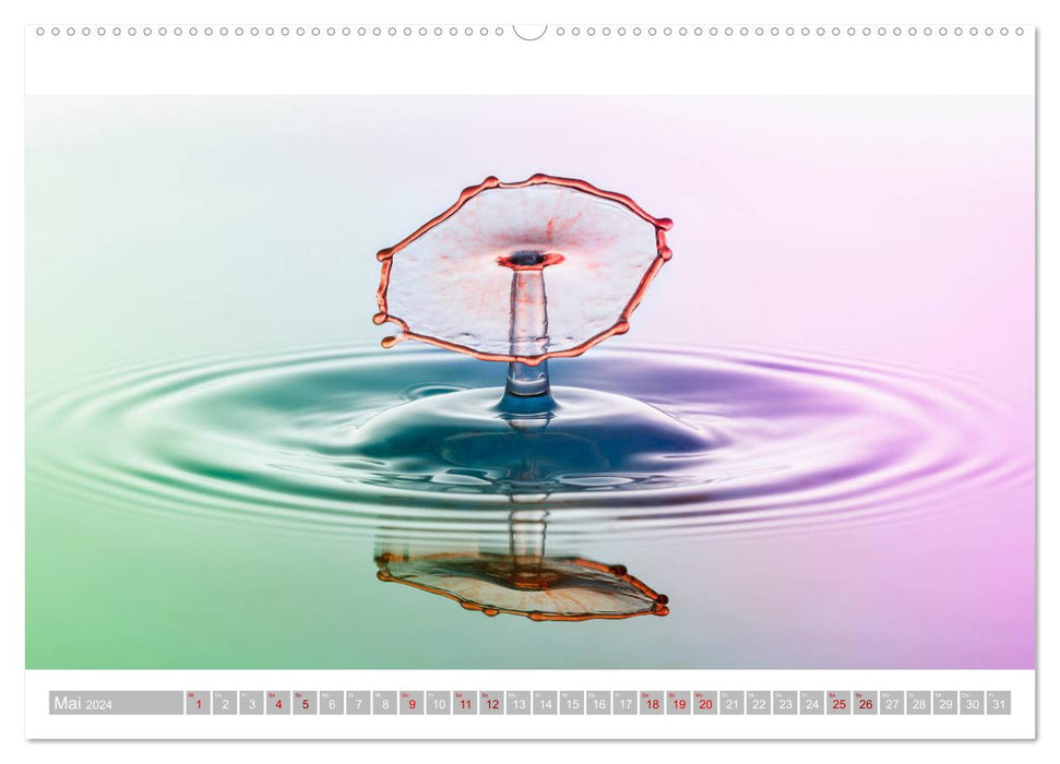 TaT's - drop on drop (CALVENDO wall calendar 2024) 