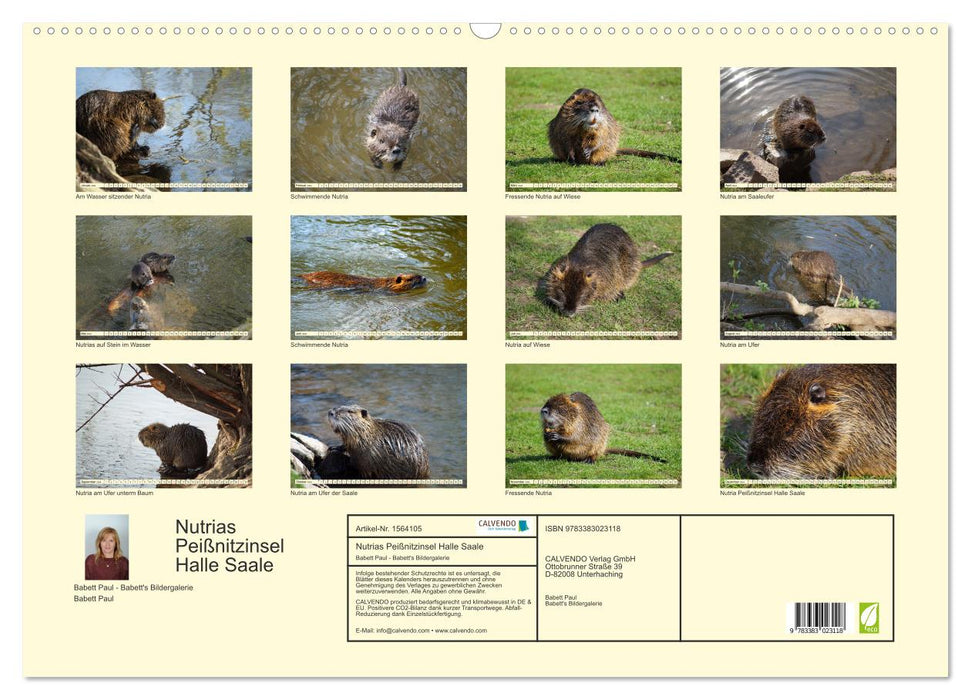 Nutrias Peißnitzinsel Halle Saale (CALVENDO wall calendar 2024) 