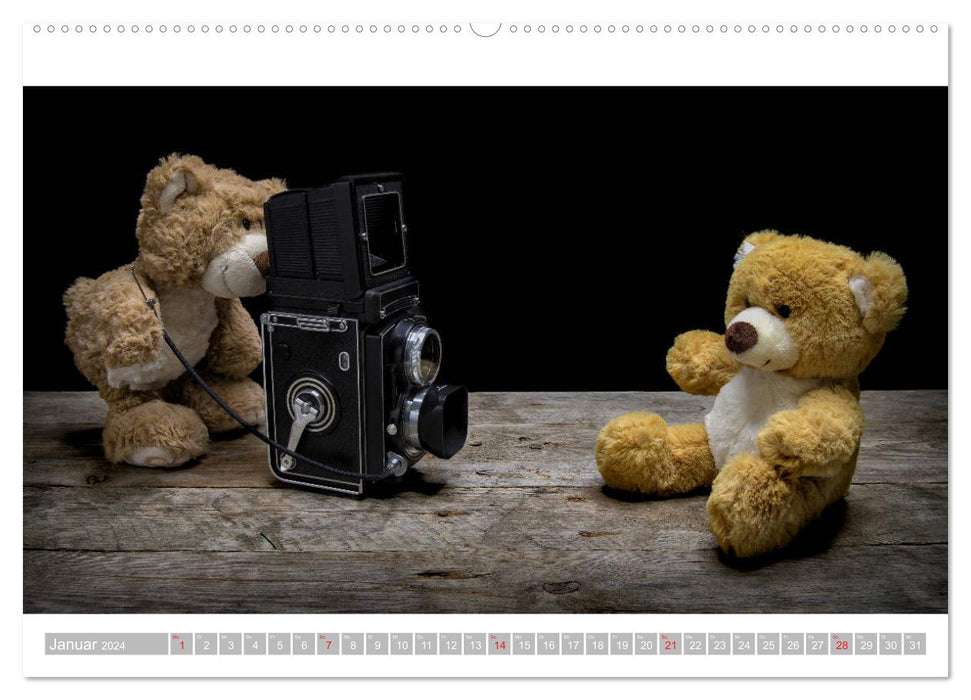 Eddy, l'ours en peluche - 12 images pour vous faire sourire (Calendrier mural CALVENDO Premium 2024) 
