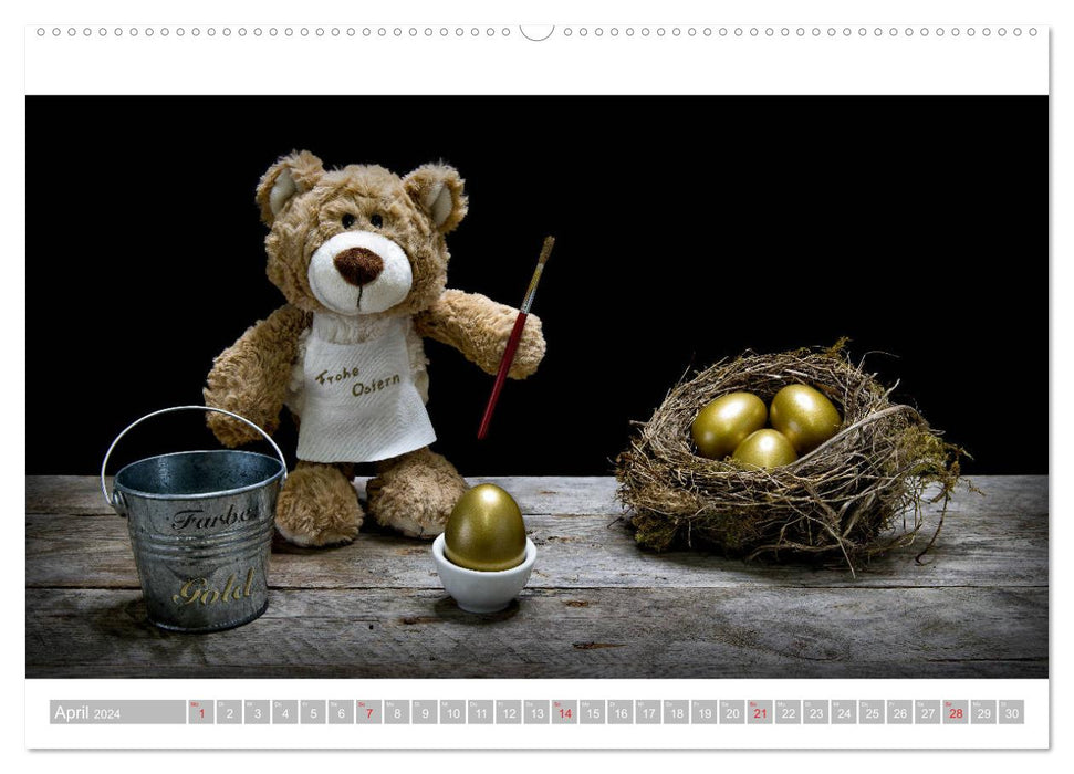 Eddy, der Teddy - 12 Bilder zum Schmunzeln (CALVENDO Premium Wandkalender 2024)