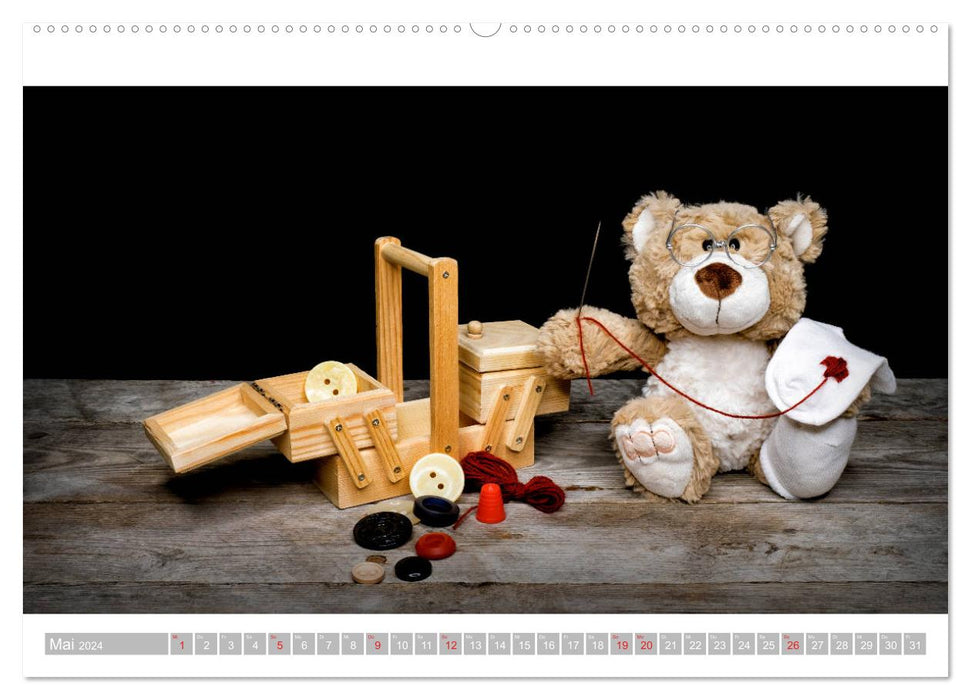 Eddy, der Teddy - 12 Bilder zum Schmunzeln (CALVENDO Premium Wandkalender 2024)