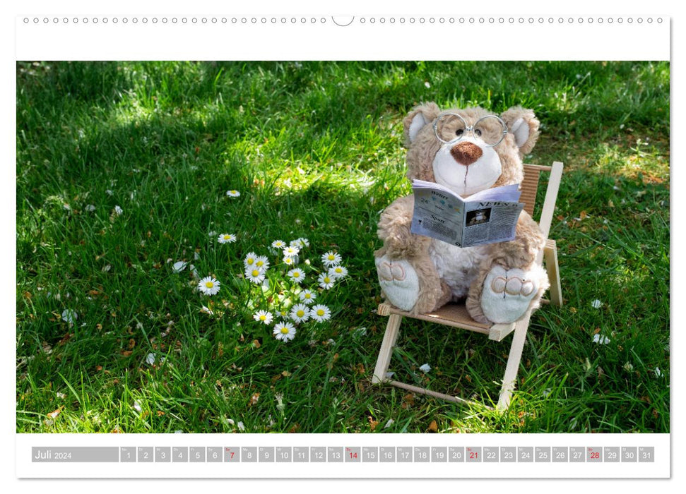 Eddy, the teddy bear - 12 pictures to make you smile (CALVENDO Premium Wall Calendar 2024) 