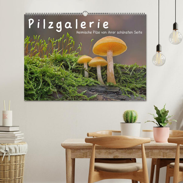 Galerie de champignons - Les champignons locaux dans leur plus belle forme (Calendrier mural CALVENDO 2024) 