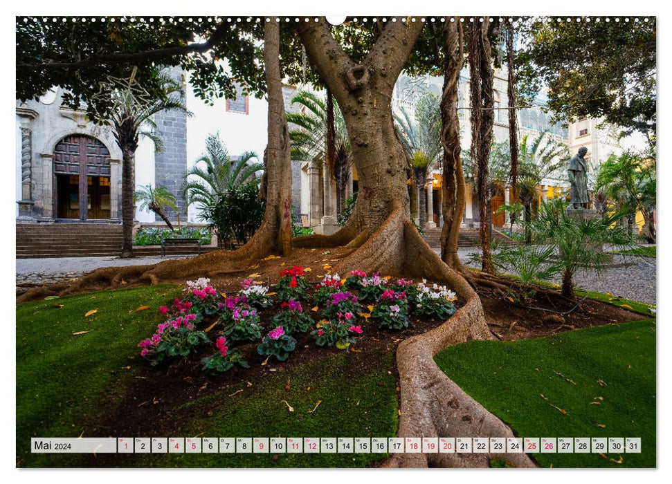 Tenerife - The City of Santa Cruz (CALVENDO Premium Wall Calendar 2024) 