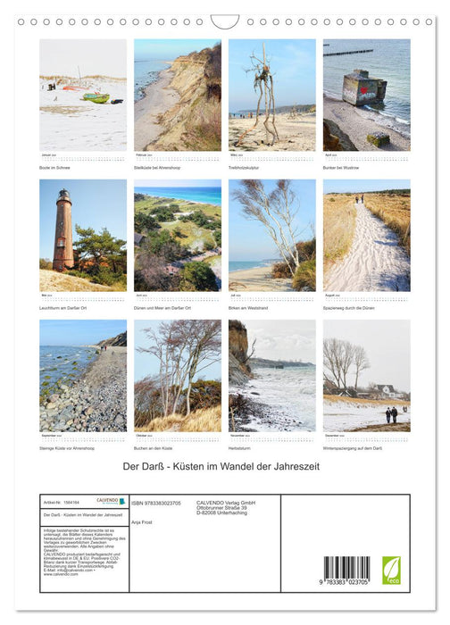 Der Darß - Küsten im Wandel der Jahreszeit (CALVENDO Wandkalender 2024)
