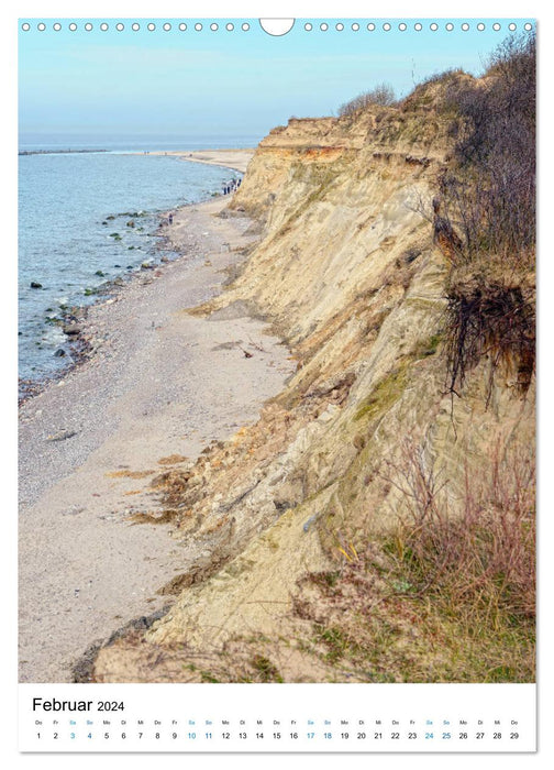 Der Darß - Küsten im Wandel der Jahreszeit (CALVENDO Wandkalender 2024)