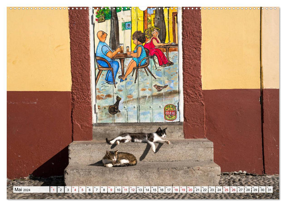 Madeira - Funchal (CALVENDO wall calendar 2024) 