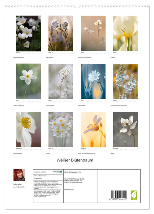 Rêve de fleurs blanches (Calendrier mural CALVENDO Premium 2024) 