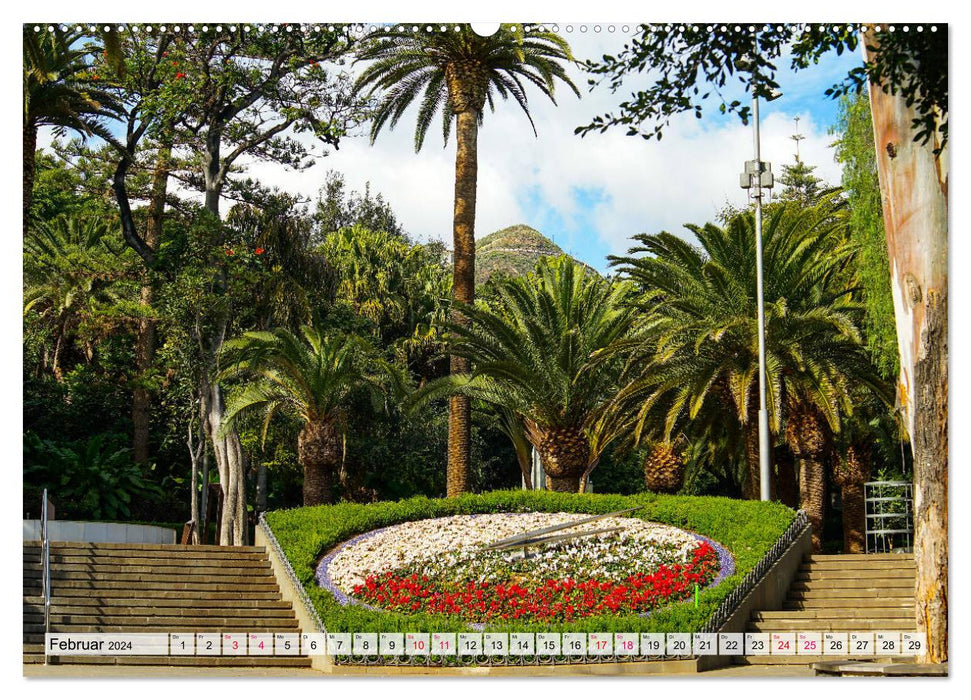Tenerife - The city of Santa Cruz (CALVENDO wall calendar 2024) 