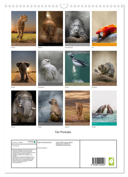 Portraits of Animals (CALVENDO wall calendar 2024) 