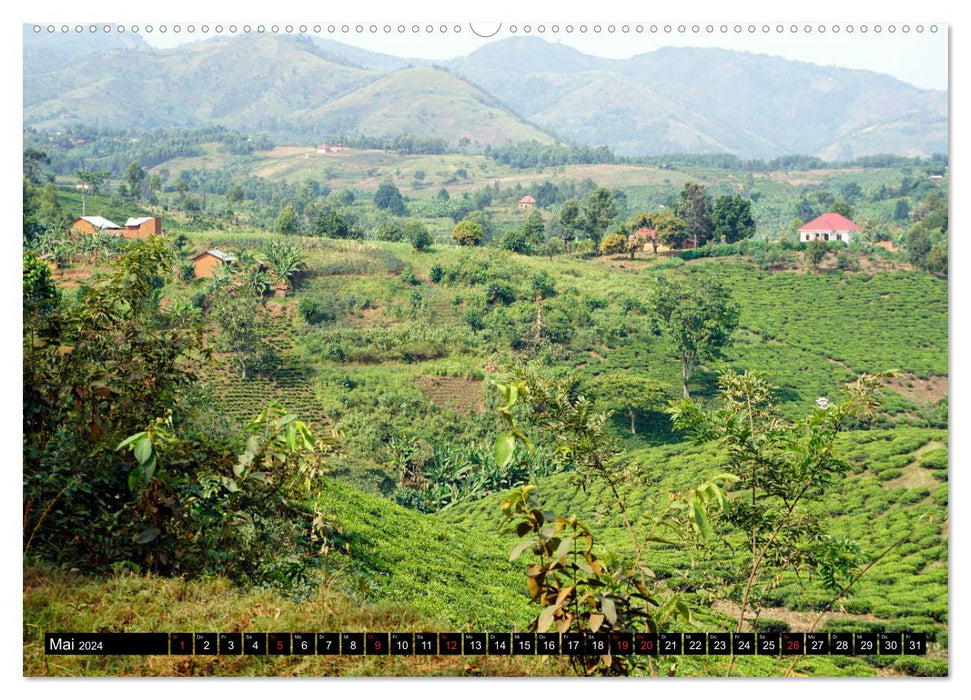 Afrikas Perle Uganda (CALVENDO Premium Wandkalender 2024)