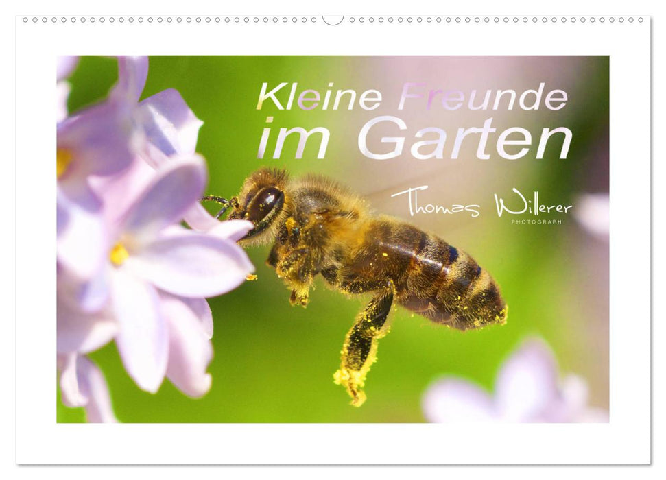 Little friends in the garden (CALVENDO wall calendar 2024) 