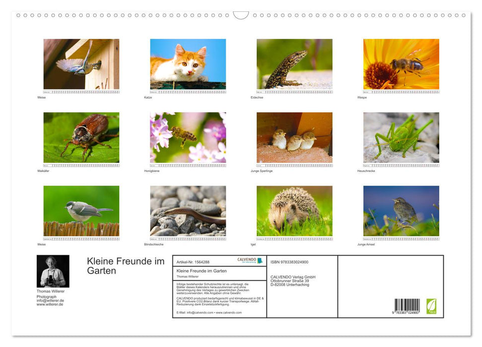 Little friends in the garden (CALVENDO wall calendar 2024) 