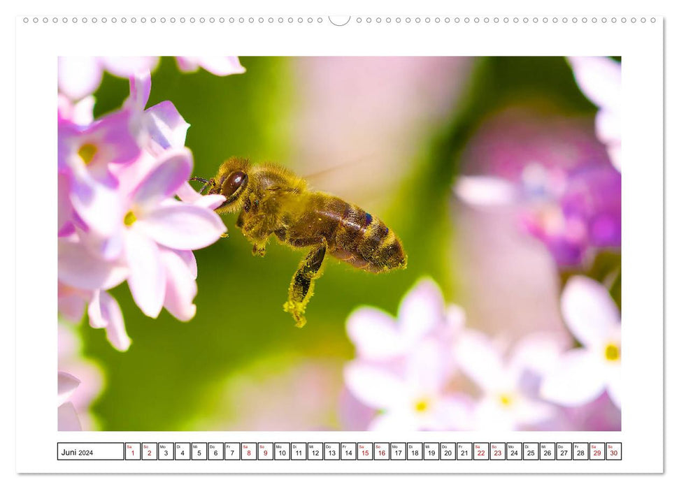 Les petits amis du jardin (Calendrier mural CALVENDO 2024) 