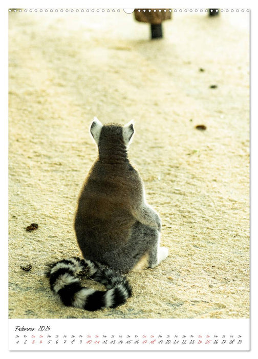 Tierwelten - aus dem ältesten Tiergarten der Welt (CALVENDO Premium Wandkalender 2024)