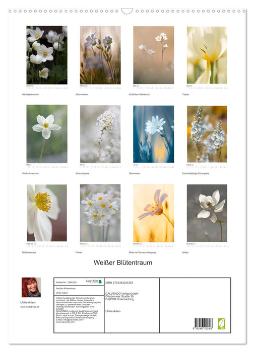 White flower dream (CALVENDO wall calendar 2024) 
