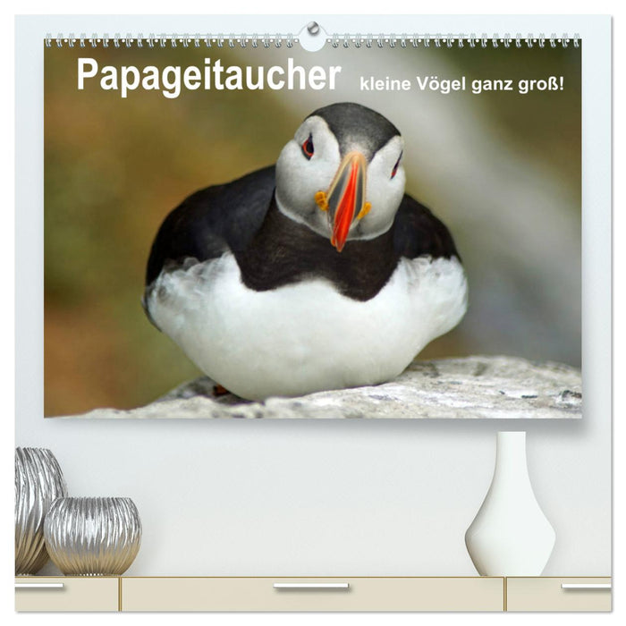 Papageitaucher - kleine Vögel ganz groß! (CALVENDO Premium Wandkalender 2024)