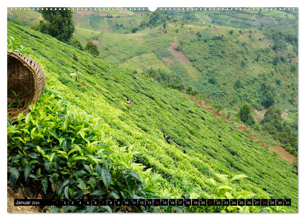 Africa's Pearl Uganda (CALVENDO Wall Calendar 2024) 