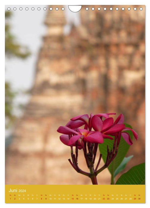 Thaïlande - Temples et Bouddhas (Calendrier mural CALVENDO 2024) 