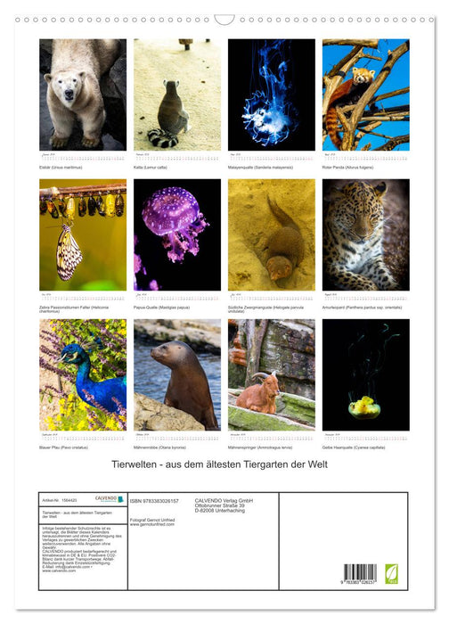 Tierwelten - aus dem ältesten Tiergarten der Welt (CALVENDO Wandkalender 2024)