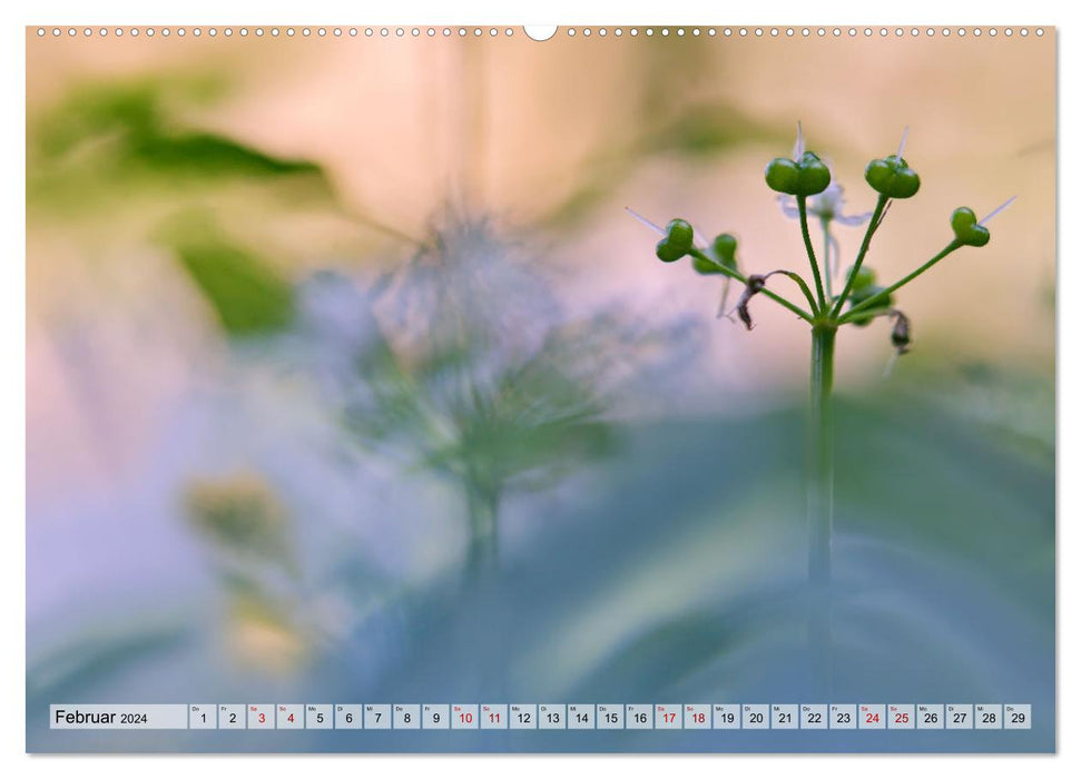 Wenn Blüten träumen tanzt das Licht (CALVENDO Wandkalender 2024)