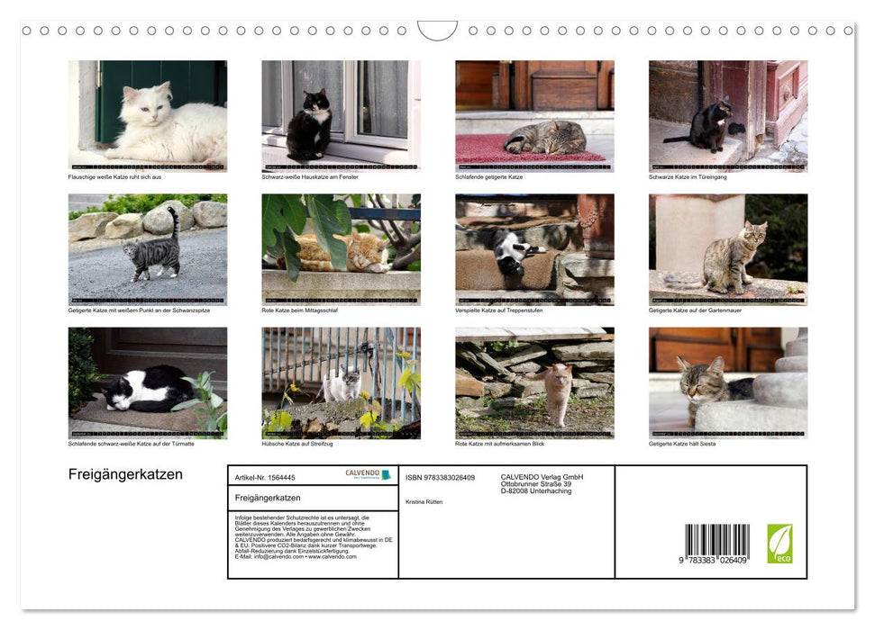 Freigängerkatzen (CALVENDO Wandkalender 2024)