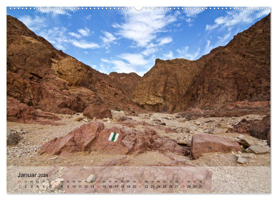 Chemins du NEGEV dans le désert (Calvendo Premium Wall Calendar 2024) 
