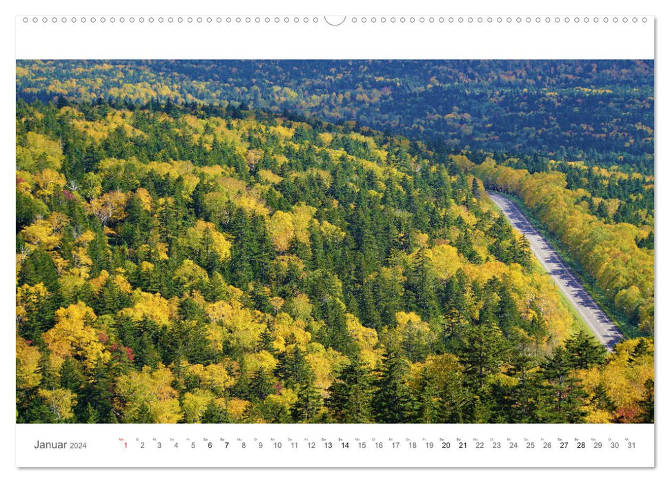 Hokkaido - L'île la plus septentrionale du Japon dans une ambiance automnale (Calendrier mural CALVENDO Premium 2024) 