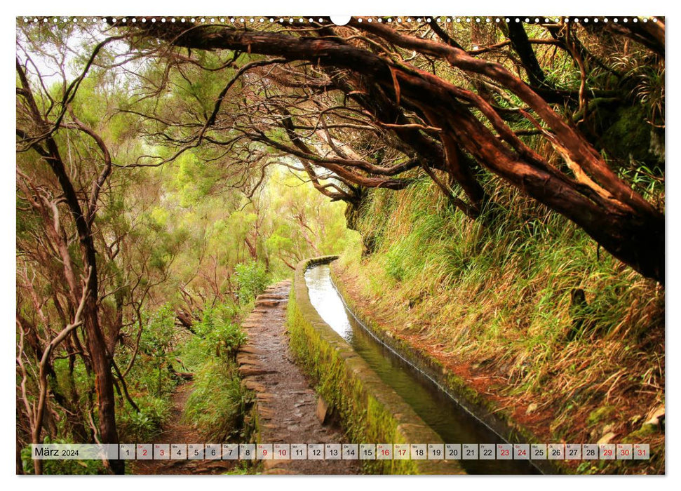 Wild Madeira - Island impressions (CALVENDO Premium Wall Calendar 2024) 