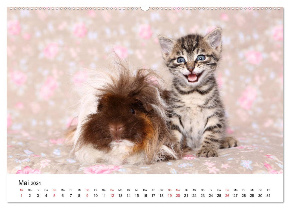 lach mit...just smile (CALVENDO Wandkalender 2024)