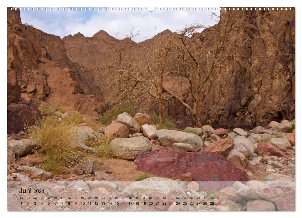 NEGEV Wege in der Wüste (CALVENDO Wandkalender 2024)