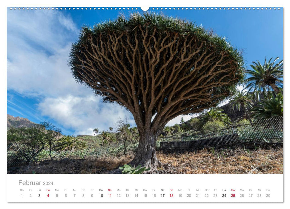 La Gomera – The green pearl of the Canary Islands. (CALVENDO wall calendar 2024) 