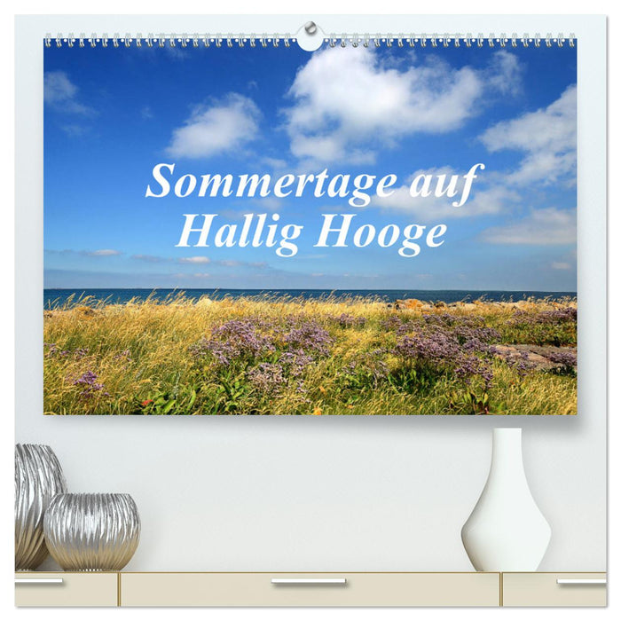 Sommertage auf Hallig Hooge (CALVENDO Premium Wandkalender 2024)