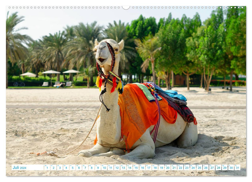 Atemraubendes Abu Dhabi - Idylle am Persischen Golf (CALVENDO Premium Wandkalender 2024)
