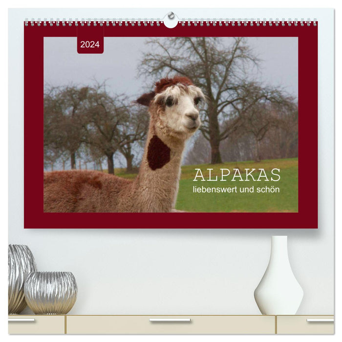 Alpacas - adorable and beautiful (CALVENDO Premium Wall Calendar 2024) 