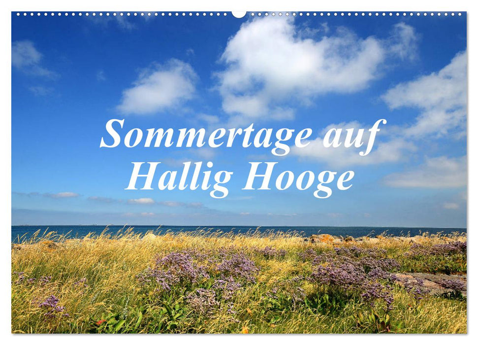 Jours d'été sur Hallig Hooge (calendrier mural CALVENDO 2024) 