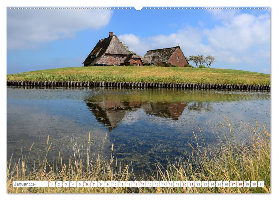 Jours d'été sur Hallig Hooge (calendrier mural CALVENDO 2024) 