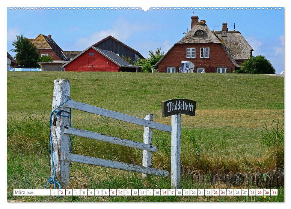 Jours d'été sur Hallig Hooge (calendrier mural CALVENDO 2024) 