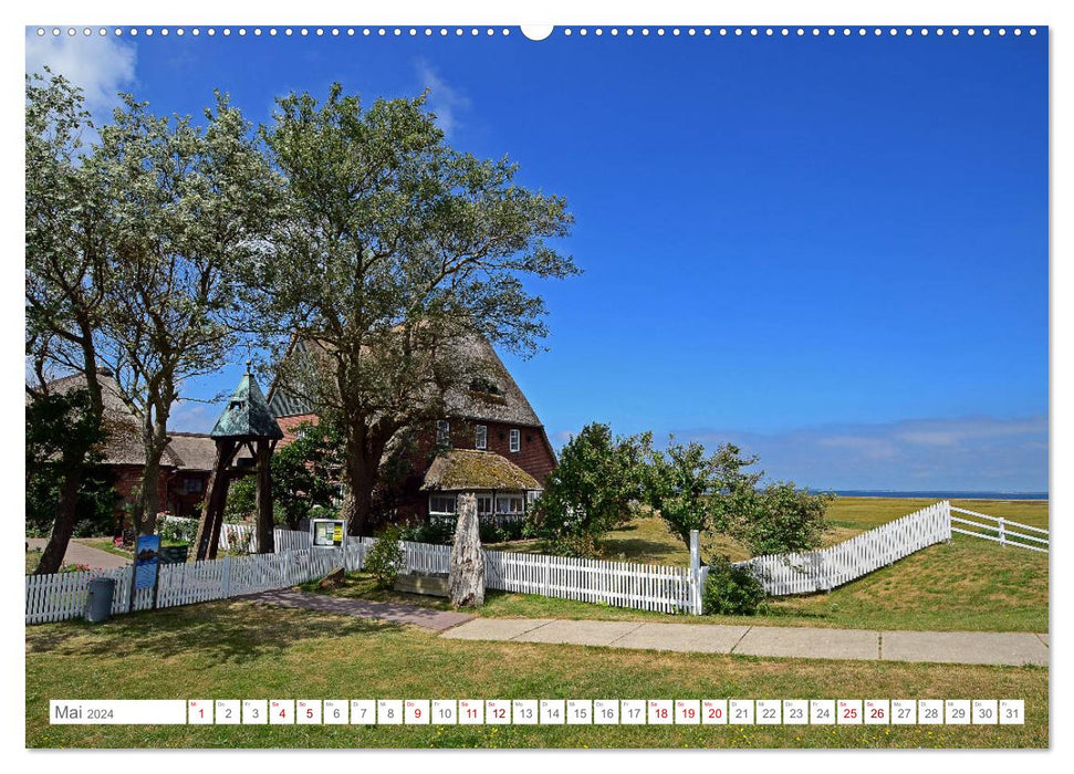 Jours d'été sur Hallig Hooge (calendrier mural CALVENDO 2024) 