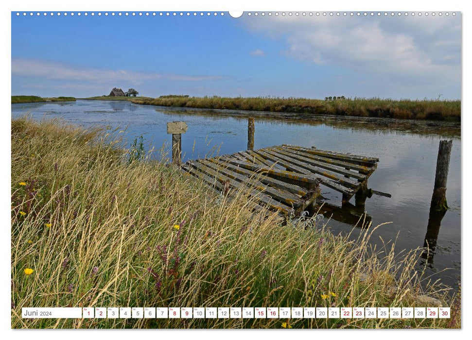 Jours d'été sur Hallig Hooge (calendrier mural CALVENDO 2024) 