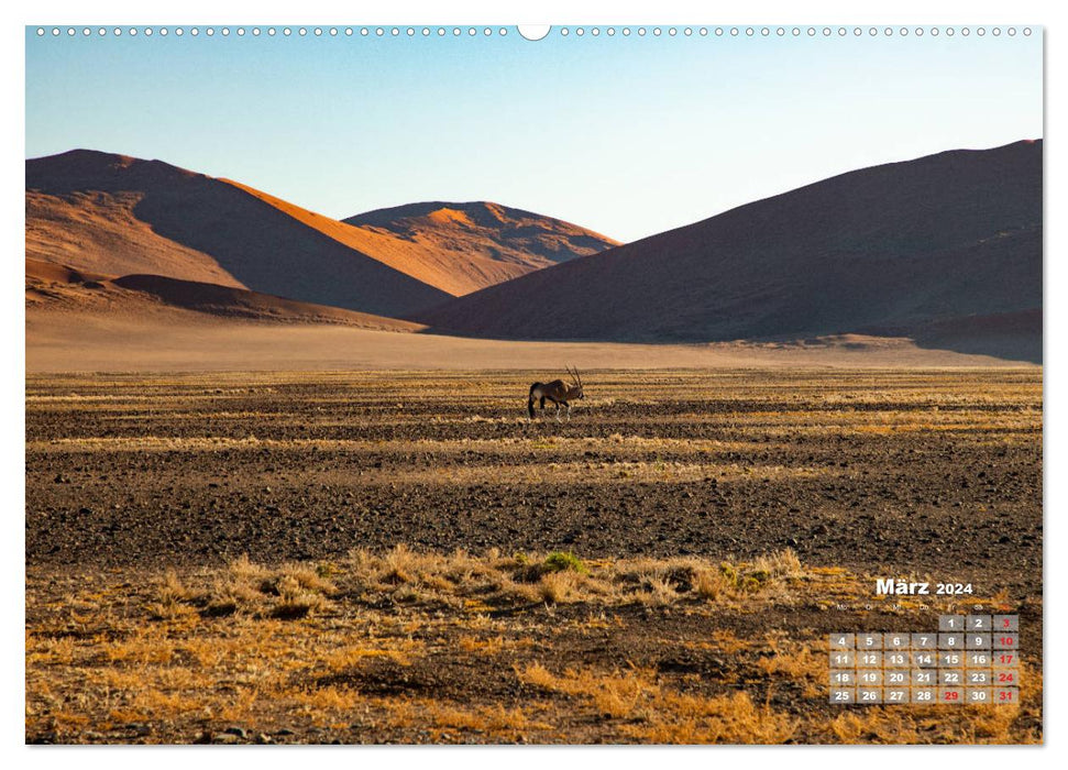 Namibia, Schönheit und Vielfalt (CALVENDO Wandkalender 2024)